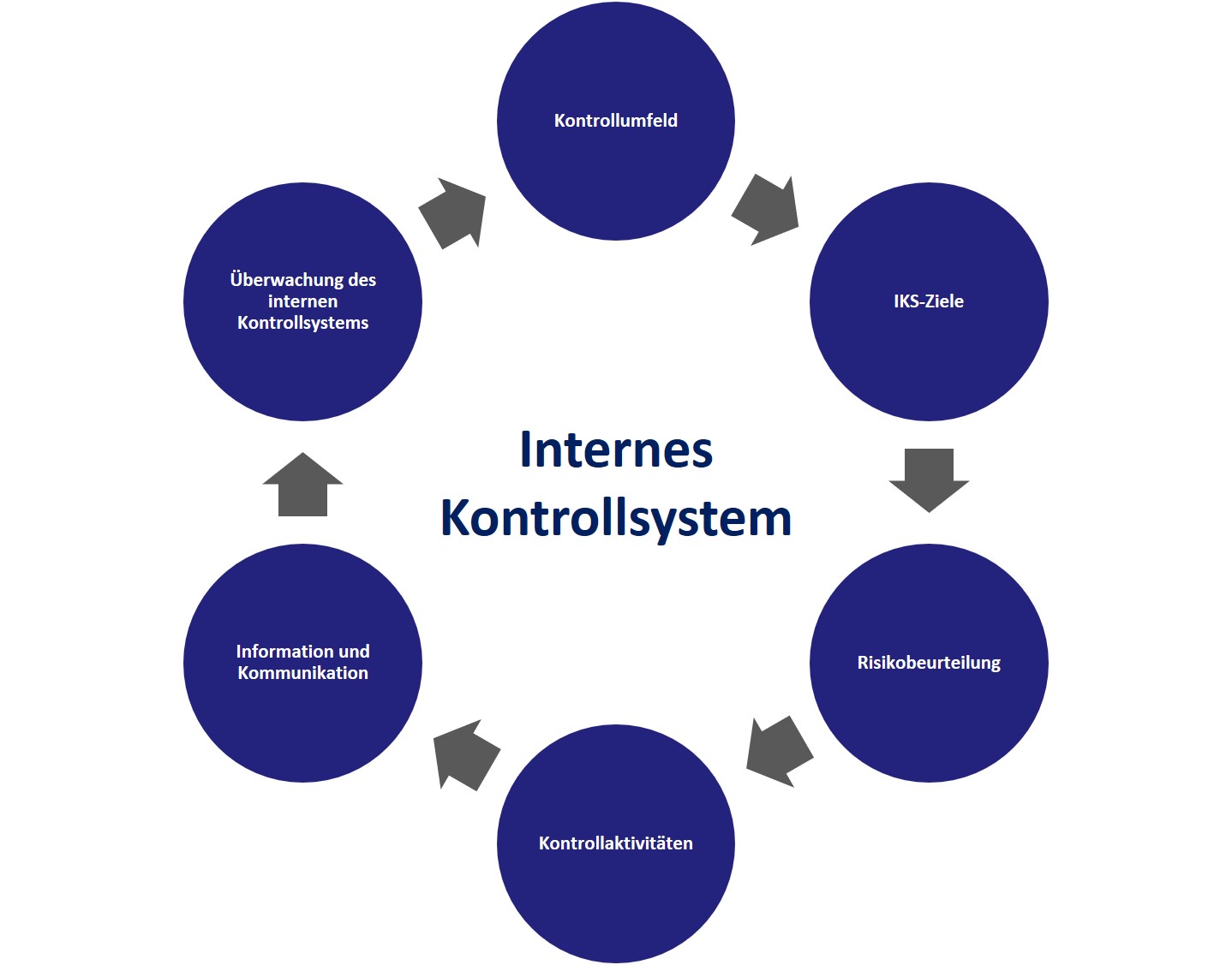 Internes Kontrollsystem IKS Andreas Leitner